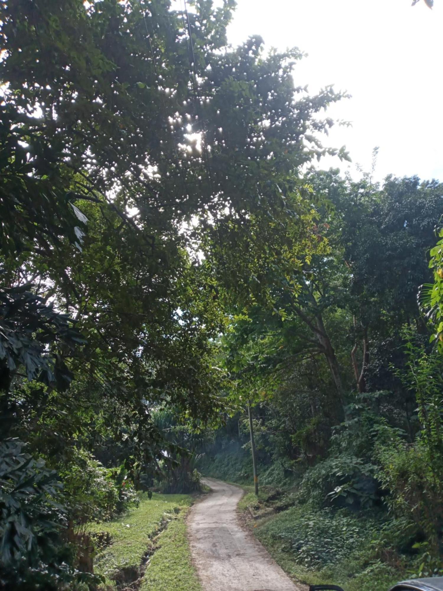 Hostal Juan Lindo San Pedro Sula Eksteriør billede