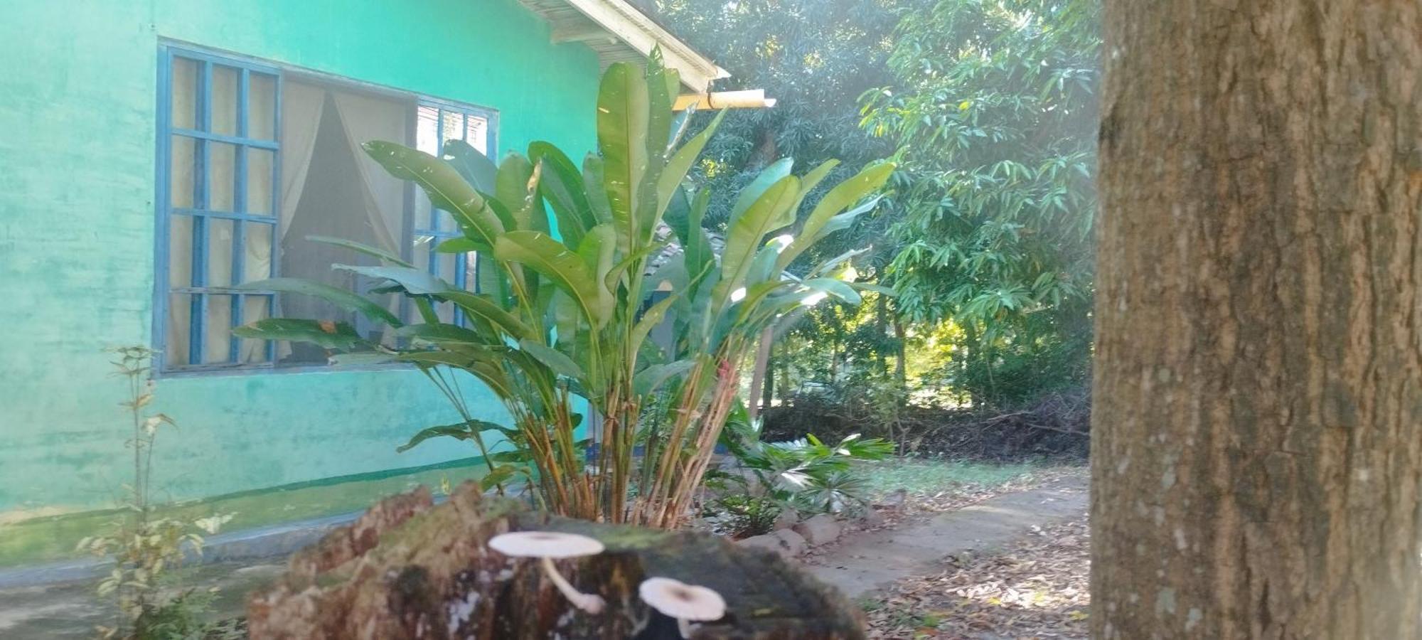 Hostal Juan Lindo San Pedro Sula Eksteriør billede